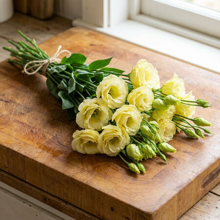 Rosita 2 Yellow, (F1) Lisianthus Seeds - Packet image number null